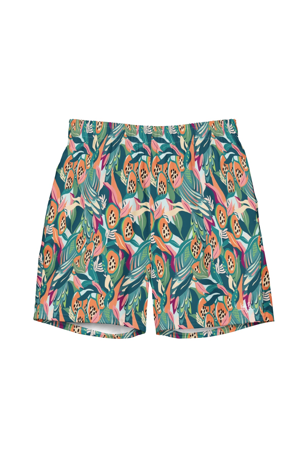 Dance Men's Swim Shorts